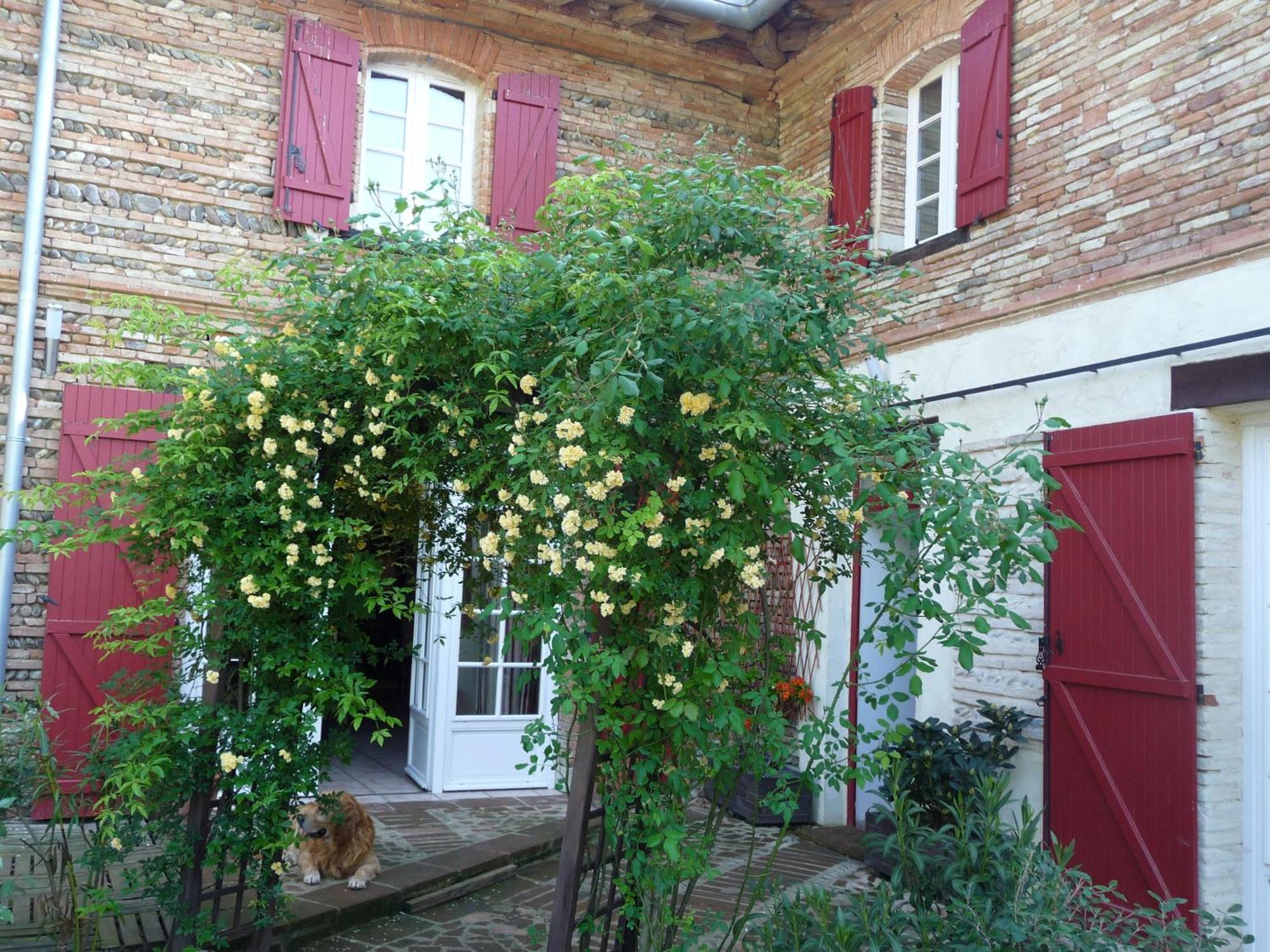 Logis Domaine De Peyrolade Acomodação com café da manhã Daux Exterior foto